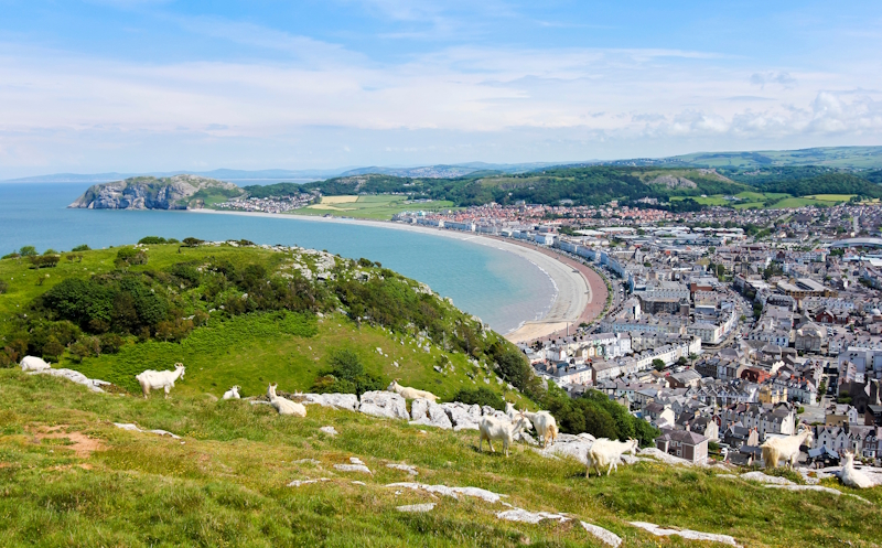 Looking down onto one of Llandudno's Bays