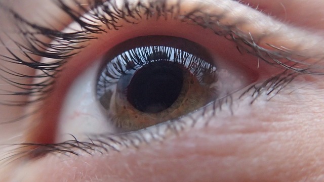 Human eye