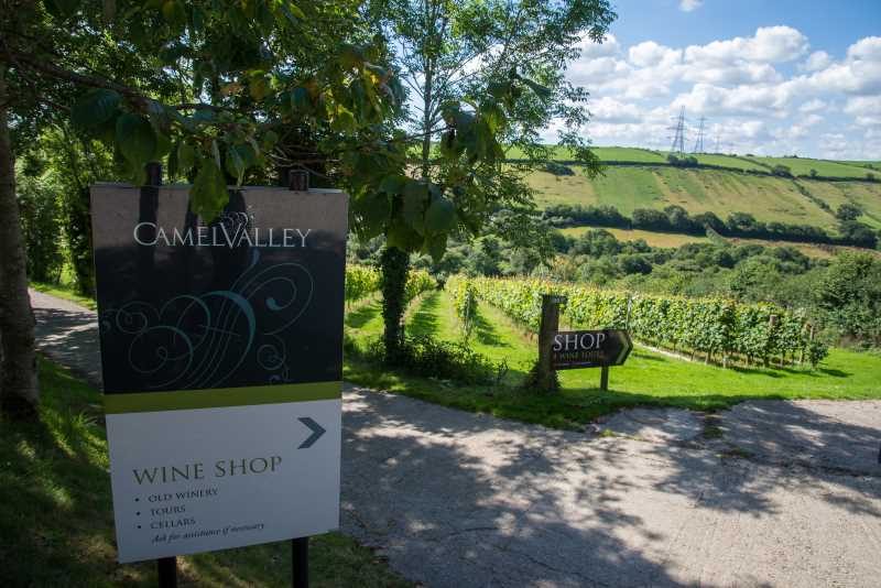 A sign pointing to Camel Valley's wine shop with vines in the background