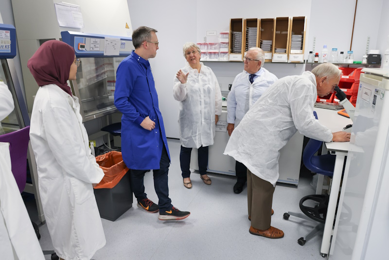 People chat in a lab as one person looks at through a microscope